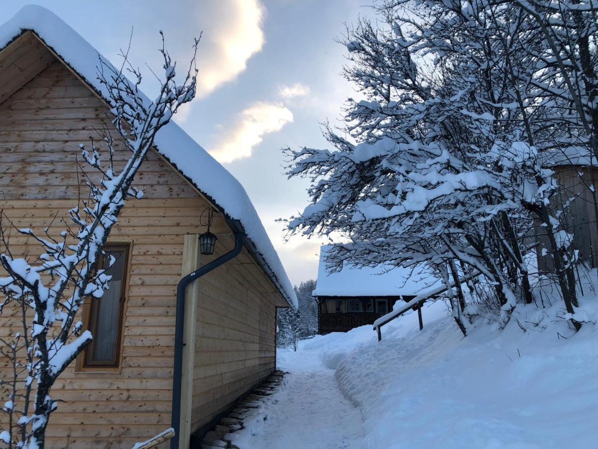 Вилла La Noi La Munte Matisesti Экстерьер фото