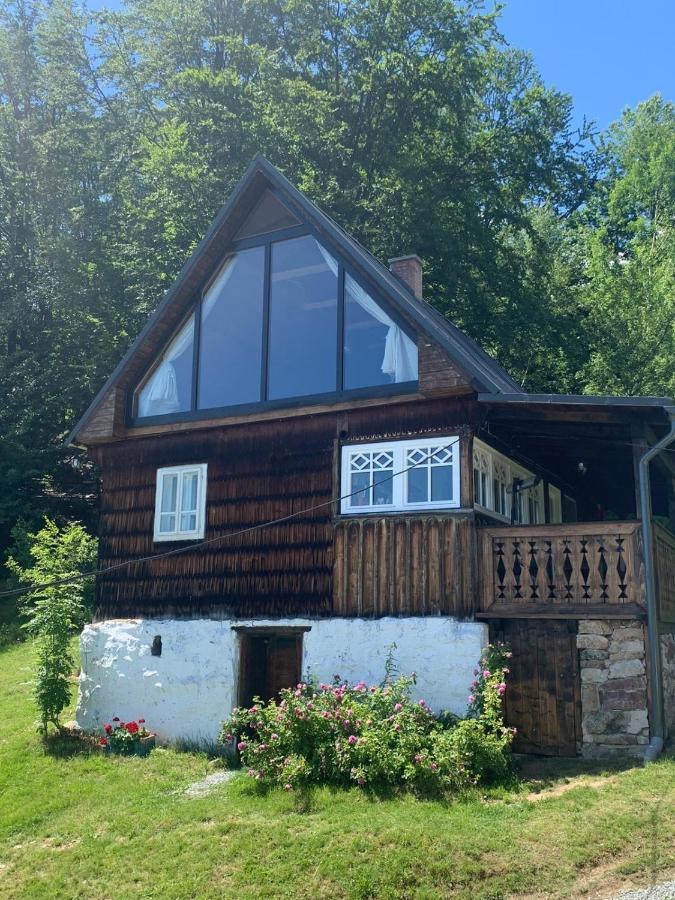 Вилла La Noi La Munte Matisesti Экстерьер фото
